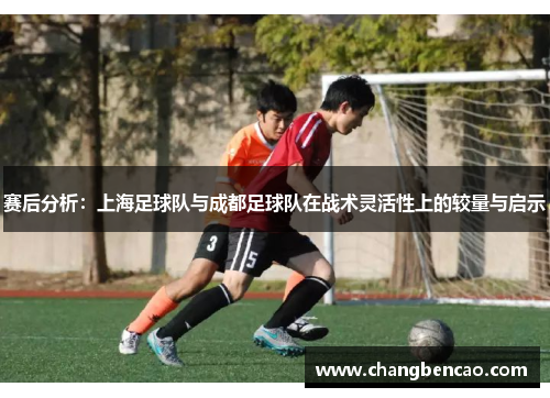 赛后分析：上海足球队与成都足球队在战术灵活性上的较量与启示