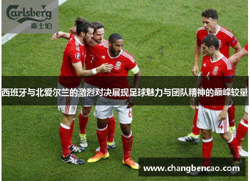 西班牙与北爱尔兰的激烈对决展现足球魅力与团队精神的巅峰较量